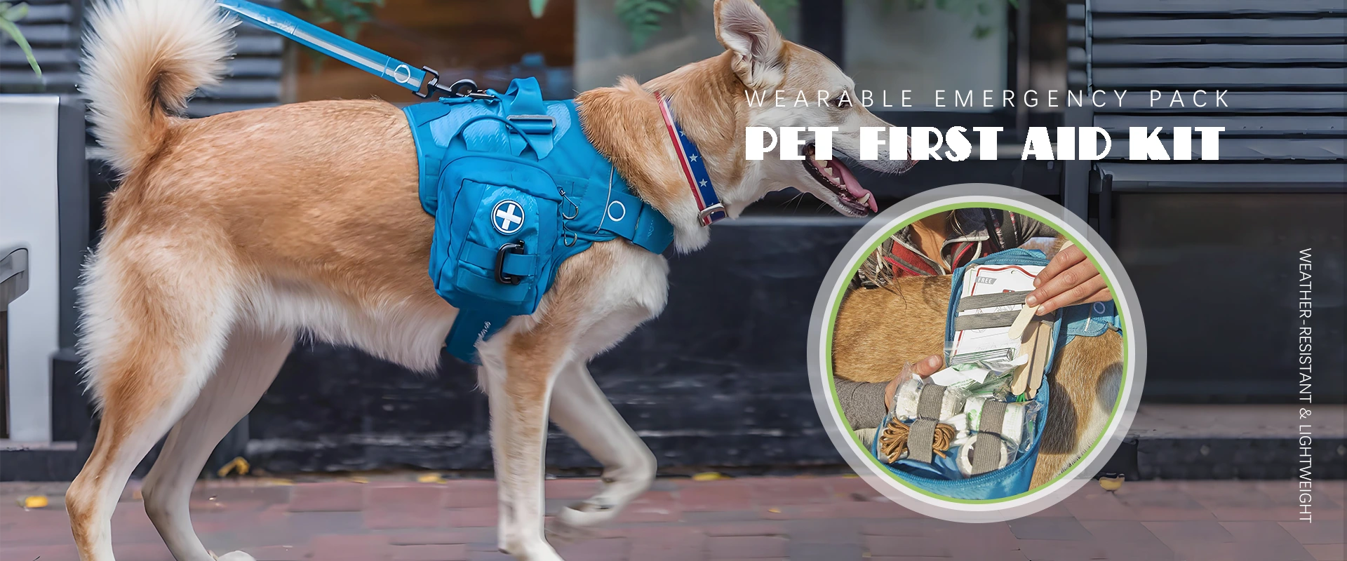 애완 동물 응급 처치 키트 제조업체