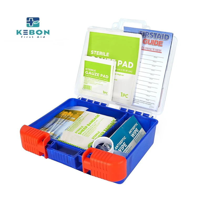 Wall-Mounted First Aid Case